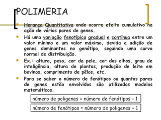 POLIMERIA
 Herança Quantitativa onde ocorre efeito cumulativo na
ação de vários pares de genes.
 Há uma variação fenotípica gradual e contínua entre um
valor mínimo e um valor máximo, devida a adição de
genes dominantes no genótipo, seguindo uma curva
normal de distribuição.
 Ex.: altura, peso, cor da pele, cor dos olhos, grau de
inteligência, altura de plantas, produção de leite em
bovinos, comprimento de pêlos, etc.
 Para se saber o número de fenótipos ou quantos pares
de genes estão envolvidos são utilizados modelos
matemáticos.
número de poligenes = número de fenótipos - 1
número de fenótipos = número de poligenes + 1
 