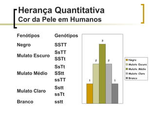 Herança Quantitativa
Cor da Pele em Humanos
Fenótipos Genótipos
Negro SSTT
Mulato Escuro
SsTT
SSTt
Mulato Médio
SsTt
SStt
ssTT
Mulato Claro
Sstt
ssTt
Branco sstt
1
2
3
2
1
Negro
Mulato Escuro
Mulato Médio
Mulato Claro
Branco
 