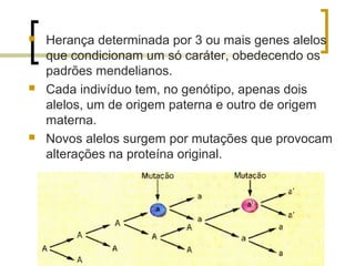  Herança determinada por 3 ou mais genes alelos
que condicionam um só caráter, obedecendo os
padrões mendelianos.
 Cada indivíduo tem, no genótipo, apenas dois
alelos, um de origem paterna e outro de origem
materna.
 Novos alelos surgem por mutações que provocam
alterações na proteína original.
 