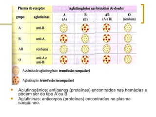  Aglutinogênios: antígenos (proteínas) encontrados nas hemácias e
podem ser do tipo A ou B.
 Aglutininas: anticorpos (proteínas) encontrados no plasma
sangüíneo.
 