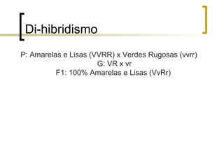 Di-hibridismo
P: Amarelas e Lisas (VVRR) x Verdes Rugosas (vvrr)
G: VR x vr
F1: 100% Amarelas e Lisas (VvRr)
 