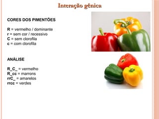 CORES DOS PIMENTÕES
R = vermelho / dominante
r = sem cor / recessivo
C = sem clorofila
c = com clorofila
ANÁLISE
R_C_ = vermelho
R_cc = marrons
rrC_ = amarelos
rrcc = verdes
Interação gênicaInteração gênica
 