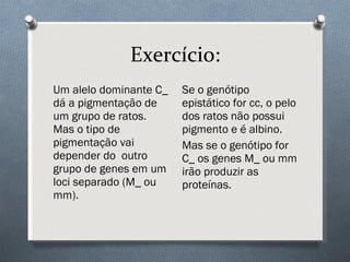 Exercício: Um alelo dominante C_ dá a pigmentação de um grupo de ratos. Mas o tipo de pigmentação vai depender do  outro grupo de genes em um loci separado (M_ ou mm). Se o genótipo epistático for cc, o pelo dos ratos não possui pigmento e é albino. Mas se o genótipo for C_ os genes M_ ou mm irão produzir as proteínas. 