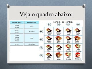 Veja o quadro abaixo: 