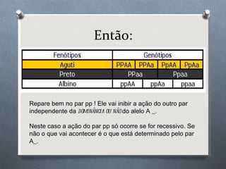 Então: Repare bem no par pp ! Ele vai inibir a ação do outro par independente da  dominância ou não  do alelo A _.  Neste caso a ação do par pp só ocorre se for recessivo. Se não o que vai acontecer é o que está determinado pelo par A_. 