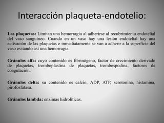 Interacción plaqueta-endotelio:
Las plaquetas: Limitan una hemorragia al adherirse al recubrimiento endotelial
del vaso sanguíneo. Cuando en un vaso hay una lesión endotelial hay una
activación de las plaquetas e inmediatamente se van a adherir a la superficie del
vaso evitando así una hemorragia.
Gránulos alfa: cuyo contenido es fibrinógeno, factor de crecimiento derivado
de plaquetas, tromboplastina de plaquetas, trombospodina, factores de
coagulación.
Gránulos delta: su contenido es calcio, ADP, ATP, serotonina, histamina,
pirofosfatasa.
Gránulos lambda: enzimas hidrolíticas.
 