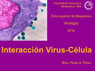 Interacción Virus-Célula
Facultad de Farmacia y
Bioquimica, UBA
Ciclo superior de Bioquímica
Virología
Bioq. Paula S. Pérez
2016
 