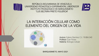 REPÚBLICA BOLIVARIANA DE VENEZUELA
UNIVERSIDAD PEDAGÓGICA EXPERIMENTAL LIBERTADOR
INSTITUTO PEDAGÓGICO DE BARQUISIMETO
“LUIS BELTRÁN PRIETO FIGUEROA”
LA INTERACCIÓN CELULAR COMO
ELEMENTO DEL ORIGEN DE LA VIDA
Autora: Eglexis Ramírez C.I.: 19.884.340
Profesor Juan Flores
Materia: Biología Celular
BARQUISIMETO, MAYO 2021
 