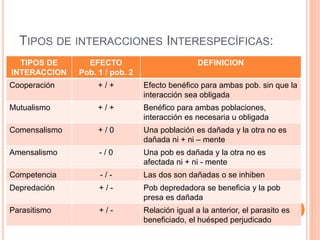 TIPOS DE INTERACCIONES INTERESPECÍFICAS: 
TIPOS DE 
INTERACCION 
EFECTO 
Pob. 1 / pob. 2 
DEFINICION 
Cooperación + / + Efecto benéfico para ambas pob. sin que la 
interacción sea obligada 
Mutualismo + / + Benéfico para ambas poblaciones, 
interacción es necesaria u obligada 
Comensalismo + / 0 Una población es dañada y la otra no es 
dañada ni + ni – mente 
Amensalismo - / 0 Una pob es dañada y la otra no es 
afectada ni + ni - mente 
Competencia - / - Las dos son dañadas o se inhiben 
Depredación + / - Pob depredadora se beneficia y la pob 
presa es dañada 
Parasitismo + / - Relación igual a la anterior, el parasito es 
beneficiado, el huésped perjudicado 
 