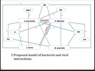 0 Proposed model of bacterial and viral
 interactions.
 