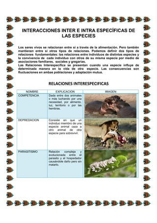 INTERACCIONES INTER E INTRA ESPECÍFICAS DE
LAS ESPECIES
Los seres vivos se relacionan entre sí a través de la alimentación. Pero también
mantienen entre sí otros tipos de relaciones. Podemos definir dos tipos de
relaciones fundamentales: las relaciones entre individuos de distintas especies y
la convivencia de cada individuo con otros de su misma especie por medio de
asociaciones familiares, sociales y gregarias.
Las Relaciones Interespecífica se presentan cuando una especie influye de
determinada manera en la vida de otra especie. Las consecuencias son
fluctuaciones en ambas poblaciones y adaptación mutua.
RELACIONES INTERESPECIFICAS
NOMBRE EXPLICACION IMAGEN
COMPETENCIA Dada entre dos animales
o más luchando por una
necesidad, por alimento,
luz, territorio o por las
hembras.
DEPREDACION Consiste en que un
individuo miembro de una
especie animal caza a
otro animal de otra
especie para sobrevivir.
PARASITISMO Relación compleja y
evolucionada entre el
parasito y el hospedador
causándole daño pero sin
matarlo.
 