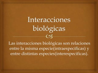 Las interacciones biológicas son relaciones
entre la misma especie(intraespecificas) y
entre distintas especies(interespecificas).
 
