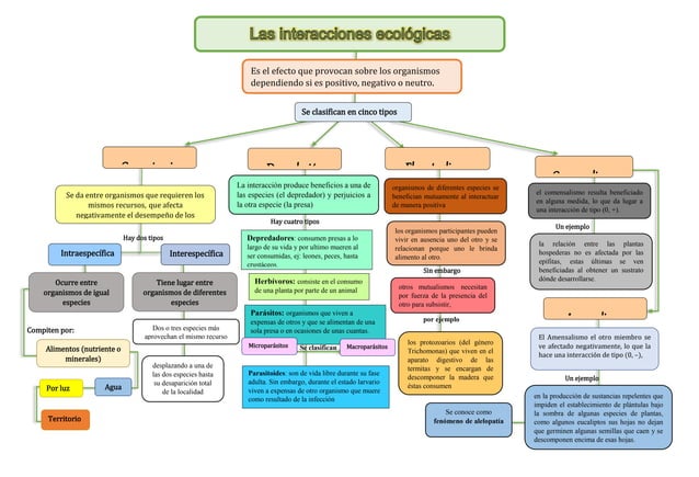 Mapa Conceptual De Las Interacciones Ecologicas