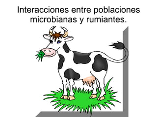 Interacciones entre poblaciones microbianas y rumiantes. 