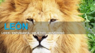 LEÓN
LIDER / ENTUSIASTA / OBJETIVO / NOVEDOSO
 
