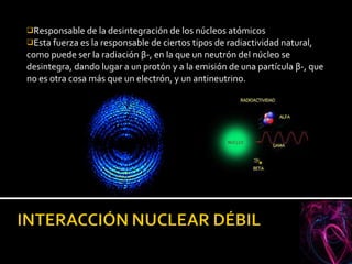 Responsable de la desintegración de los núcleos atómicos Esta fuerza es la responsable de ciertos tipos de radiactividad natural, como puede ser la radiación β-, en la que un neutrón del núcleo se desintegra, dando lugar a un protón y a la emisión de una partícula β-, que no es otra cosa más que un electrón, y un antineutrino. 