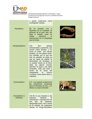 UNIVERSIDAD NACIONAL ABIERTA Y A DISTANCIA – UNAD
Escuela de Ciencias Agrícolas, Pecuarias y del Medio Ambiente
Biología Ambiental

y peces coralívoros
canthigaster rostrata.

como

Parasitismo

[9] Un parasito vive a
expensas de un huésped, se
alimenta de él pero rara vez
llega a matarlo, pues no
puede
sobrevivir
ni
reproducirse sin el hospedaje
que le brinda.

Hemiparasitismo

[10]
Son
plantas
semiparasitas y perennes, que
crecen sobre árboles, y no
tocan el suelo, aun siendo
parásito, es una planta verde,
con clorofila, por lo que tan
solo es parásito en parte ya
que es capaz de realizar la
fotosíntesis, sin embargo, al
no poseer raíces en la tierra
debe de alguna manera
absorber el agua y las sales
minerales, cosa que hace a
través de la savia del
hospedante,
el
Viscum
cruciatum crece sobre olivos y
majuelos.

Comensalismo

[11] una especie proporciona
las condiciones necesarias
para el bienestar de otra, y no
afecta su propio bienestar.

Amensalismo o
Antibiosis

[13] En lo que respecta a las
especies
bloquea
el
crecimiento o reproducción de
otro
tipo
de
especies,
designadas amen sal a través
de la emisión de sustancias
tóxicas. El hongo Penicillium

 