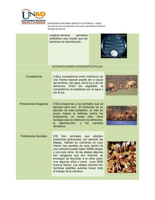 UNIVERSIDAD NACIONAL ABIERTA Y A DISTANCIA – UNAD
Escuela de Ciencias Agrícolas, Pecuarias y del Medio Ambiente
Biología Ambiental

notatum eliminar
penicilina
antibiótico que impide que las
bacterias se reproduzcan.

INTERACCIONES INTRAESPECIFICAS

Competencia

[14]La competencia entre individuos de
una misma especie puede ser a causa
del territorio, del agua, de la luz o de los
alimentos. Entre los vegetales, la
competencia se establece por el agua y
por la luz.

Poblaciones Gregarias

[15]Corresponde a los animales que se
agrupan para vivir. El cardumen es un
ejemplo de esta población, la vida en
grupo mejora la defensa contra los
predadores, no existe líder, tiene
ventajas para la obtención de alimentos,
la reproducción, y los cambios
climáticos

Poblaciones Sociales

[16] Son animales que adoptan
posiciones jerárquicas, por ejemplo las
abejas, habitan en colmenas en cuyo
interior hay paneles de cera, dentro de
una colmena puede haber 50000 abejas
y una sola reina, de las abejas algunas
son zánganos que son machos, se
encargan de fecundar a la reina quien
vive algunos años y pone unos 3000
huevos diarios. Las abejas obreras son
hembras estériles quienes hacen todo
el trabajo de la colmena

 