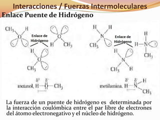 Interacciones / Fuerzas Intermoleculares
Enlace Puente de Hidrógeno
La fuerza de un puente de hidrógeno es determinada por
la interacción coulómbica entre el par libre de electrones
del átomo electronegativo y el núcleo de hidrógeno.
 