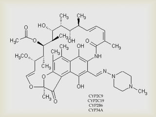 CYP2C9
CYP2C19
CYP2B6
CYP34A
 
