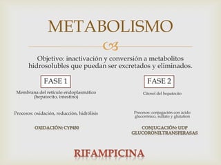 
Objetivo: inactivación y conversión a metabolitos
hidrosolubles que puedan ser excretados y eliminados.
METABOLISMO
FASE 1 FASE 2
Membrana del retículo endoplasmático
(hepatocito, intestino)
Procesos: oxidación, reducción, hidrólisis
Citosol del hepatocito
Procesos: conjugación con ácido
glucorónico, sulfato y glutation
 
