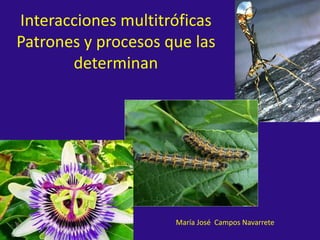Interacciones multitróficas
Patrones y procesos que las
determinan
María José Campos Navarrete
 
