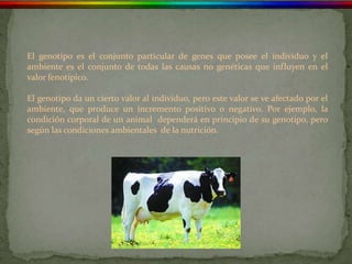 El genotipo es el conjunto particular de genes que posee el individuo y el
ambiente es el conjunto de todas las causas no genéticas que influyen en el
valor fenotípico.

El genotipo da un cierto valor al individuo, pero este valor se ve afectado por el
ambiente, que produce un incremento positivo o negativo. Por ejemplo, la
condición corporal de un animal dependerá en principio de su genotipo, pero
según las condiciones ambientales de la nutrición.
 