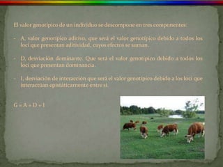 El valor genotípico de un individuo se descompone en tres componentes:

- A, valor genotípico aditivo, que será el valor genotípico debido a todos los
  loci que presentan aditividad, cuyos efectos se suman.

- D, desviación dominante. Que será el valor genotípico debido a todos los
  loci que presentan dominancia.

- I, desviación de interacción que será el valor genotípico debido a los loci que
  interactúan epistáticarnente entre sí.


G=A+D+I
 