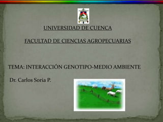 UNIVERSIDAD DE CUENCA

      FACULTAD DE CIENCIAS AGROPECUARIAS



TEMA: INTERACCIÓN GENOTIPO-MEDIO AMBIENTE

Dr. Carlos Soria P.
 