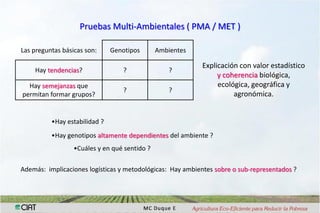 Interaccion g x e en pruebas multi-ambientales