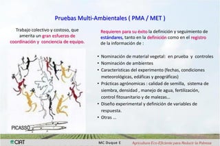 Interaccion g x e en pruebas multi-ambientales