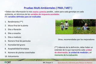 Interaccion g x e en pruebas multi-ambientales