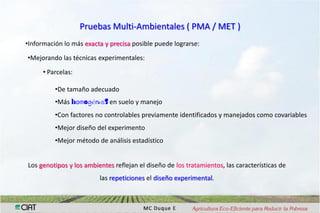 Interaccion g x e en pruebas multi-ambientales