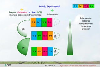 Interaccion g x e en pruebas multi-ambientales