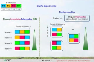 Interaccion g x e en pruebas multi-ambientales