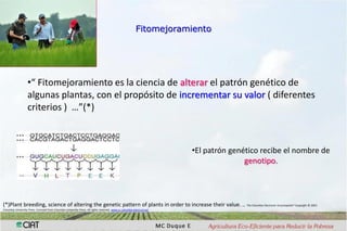 Interaccion g x e en pruebas multi-ambientales