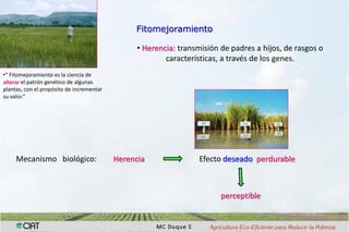 Interaccion g x e en pruebas multi-ambientales