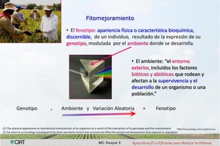 Interaccion g x e en pruebas multi-ambientales