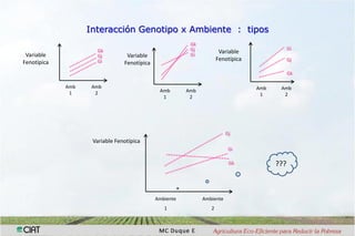 Interaccion g x e en pruebas multi-ambientales