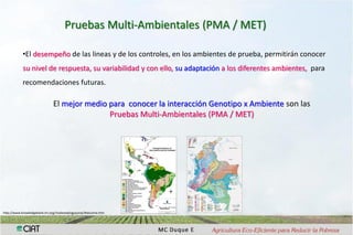 Interaccion g x e en pruebas multi-ambientales