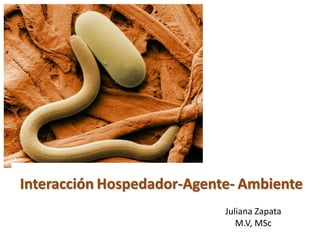 Juliana Zapata
M.V, MSc
Interacción Hospedador-Agente- Ambiente
 
