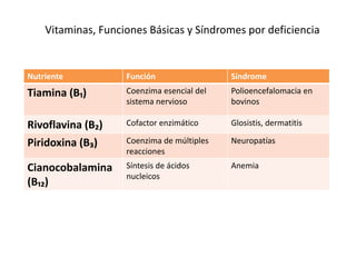Nutriente Función Síndrome
Tiamina (B₁) Coenzima esencial del
sistema nervioso
Polioencefalomacia en
bovinos
Rivoflavina (B₂) Cofactor enzimático Glosistis, dermatitis
Piridoxina (B₃) Coenzima de múltiples
reacciones
Neuropatías
Cianocobalamina
(B₁₂)
Síntesis de ácidos
nucleicos
Anemia
Vitaminas, Funciones Básicas y Síndromes por deficiencia
 