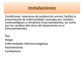 Instalaciones
Condiciones intensivas de producción animal, facilita la
presentación de enfermedades causadas por cambios
metereológicos y climáticos (macroambiente), así como
por los cambios del clima del alojamiento en sí
(microambiente).
Piel
Pelaje
Enfermedades Infectocontagiosas
Hacinamiento
Canibalismo
 