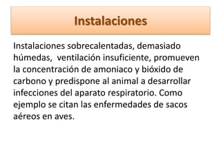 Instalaciones sobrecalentadas, demasiado
húmedas, ventilación insuficiente, promueven
la concentración de amoniaco y bióxido de
carbono y predispone al animal a desarrollar
infecciones del aparato respiratorio. Como
ejemplo se citan las enfermedades de sacos
aéreos en aves.
Instalaciones
 