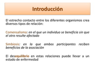 El estrecho contacto entre los diferentes organismos crea
diversos tipos de relación:
Comensalismo: en el que un individuo se beneficia sin que
el otro resulte afectado
Simbiosis: en la que ambos participantes reciben
beneficios de la asociación
El desequilibrio en estas relaciones puede llevar a un
estado de enfermedad
Introducción
 