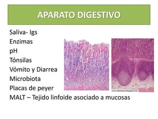 APARATO DIGESTIVO
Saliva- Igs
Enzimas
pH
Tónsilas
Vómito y Diarrea
Microbiota
Placas de peyer
MALT – Tejido linfoide asociado a mucosas
 
