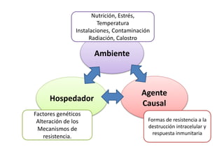 Ambiente
Agente
Causal
Hospedador
Nutrición, Estrés,
Temperatura
Instalaciones, Contaminación
Radiación, Calostro
Factores genéticos
Alteración de los
Mecanismos de
resistencia.
Formas de resistencia a la
destrucción intracelular y
respuesta inmunitaria
 
