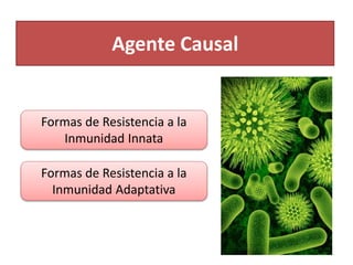 Agente Causal
Formas de Resistencia a la
Inmunidad Innata
Formas de Resistencia a la
Inmunidad Adaptativa
 