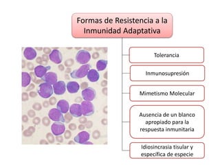 Formas de Resistencia a la
Inmunidad Adaptativa
Inmunosupresión
Mimetismo Molecular
Tolerancia
Ausencia de un blanco
apropiado para la
respuesta inmunitaria
Idiosincrasia tisular y
específica de especie
 