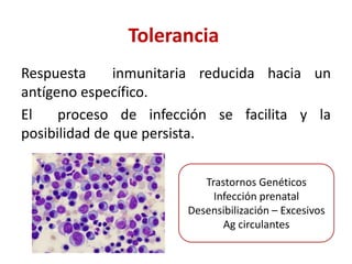 Tolerancia
Respuesta inmunitaria reducida hacia un
antígeno específico.
El proceso de infección se facilita y la
posibilidad de que persista.
Trastornos Genéticos
Infección prenatal
Desensibilización – Excesivos
Ag circulantes
 